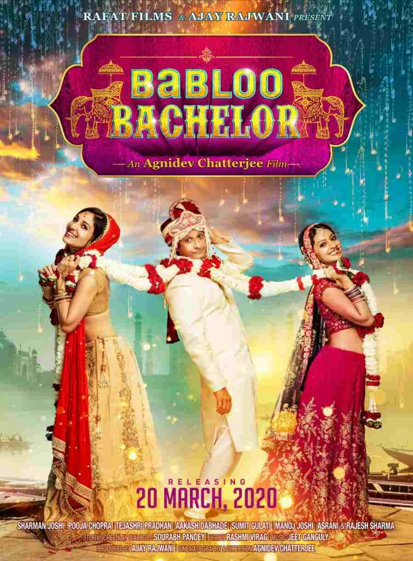 Babloo Bachelor (2022) Bollywood Hindi Full Movie HD poster