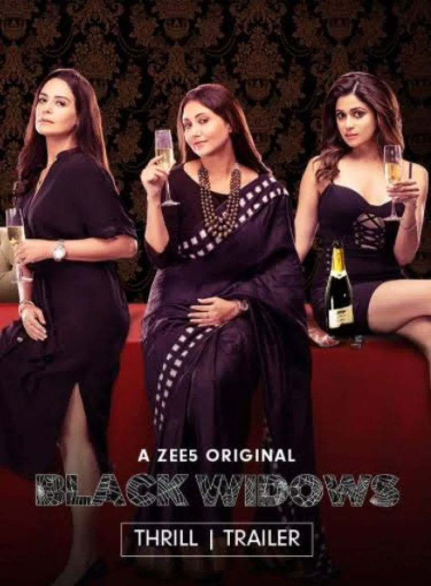 Black Widows (2020) Hindi Completed Web Series HEVC poster