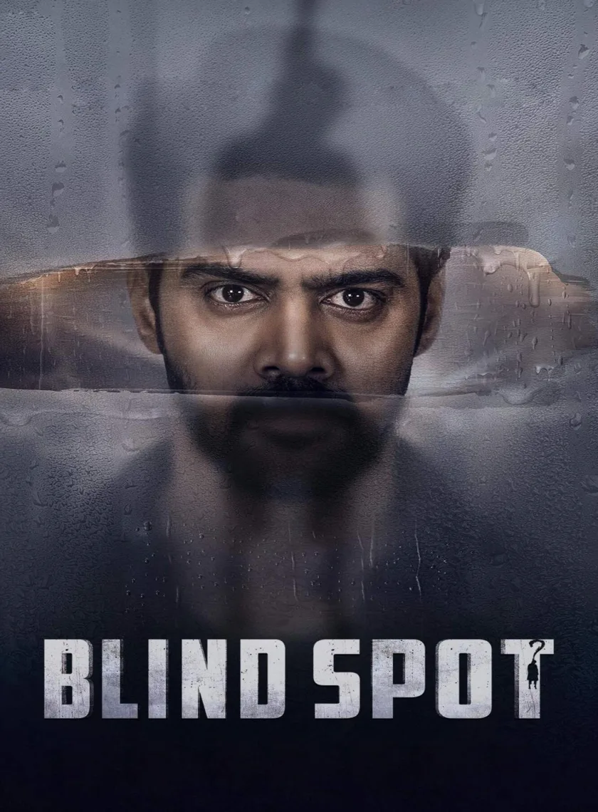 Blind Spot (2025) (Hindi + Telugu) Dual Audio UnCut South Movie HD ESub poster