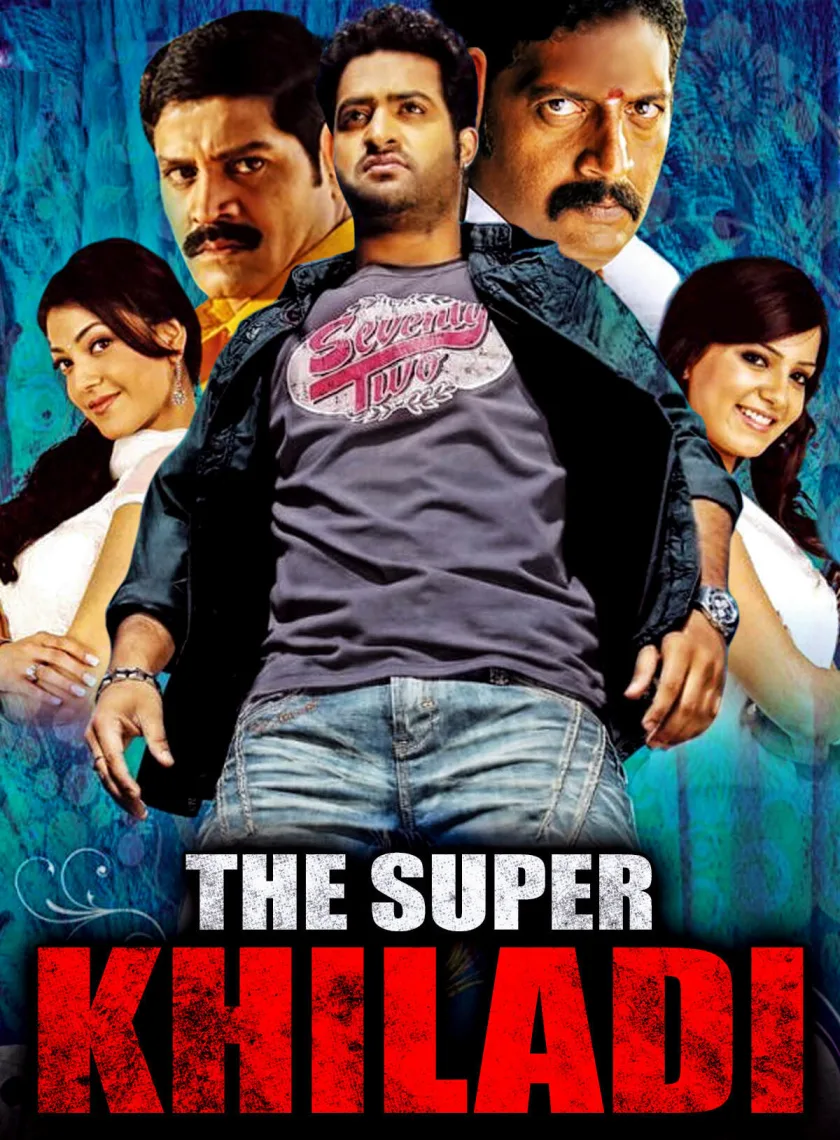 Brindavanam (2010) (Hindi + Telugu) Dual Audio UnCut South Movie BluRay HD ESub poster