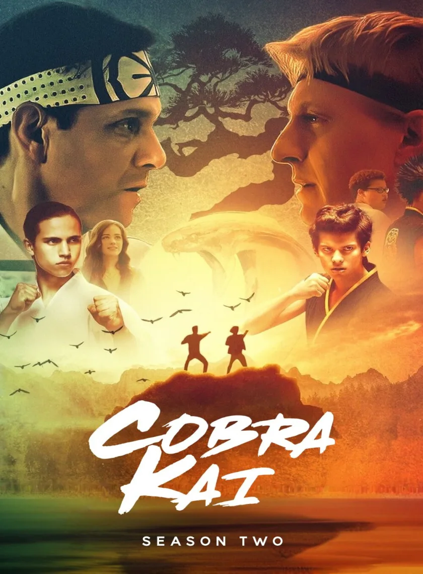 Cobra Kai S02 (2019) (Hindi + English) Dual Audio Completed Web Series HEVC ESub poster