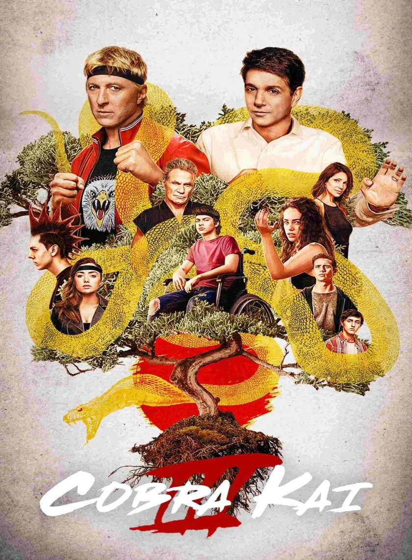 Cobra Kai S03 (2021) (Hindi + English) Dual Audio Completed Web Series HEVC ESub poster