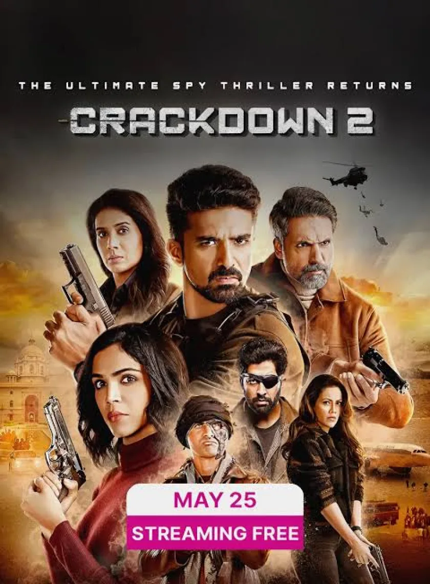 Crackdown S2 (2023) Hindi Web Series HEVC ESub poster