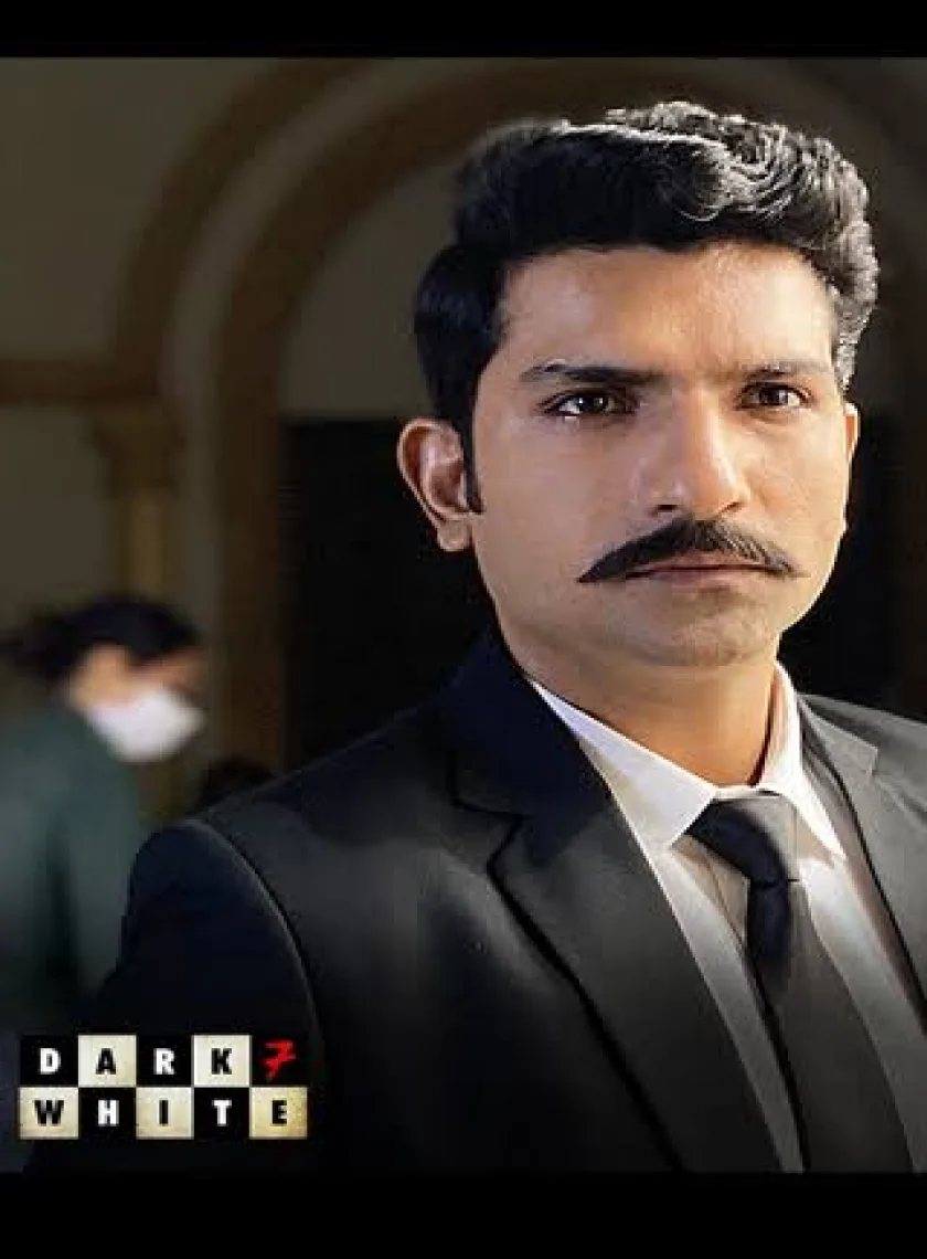 Dark 7 White (2020) Hindi Completed Web Series HEVC poster