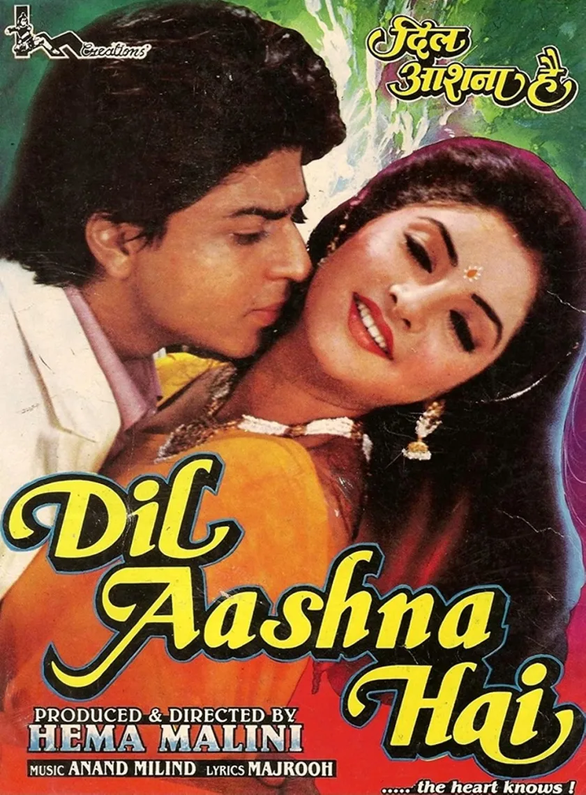 Dil Aashna Hai (1992) Bollywood Hindi Full Movie HD ESub poster