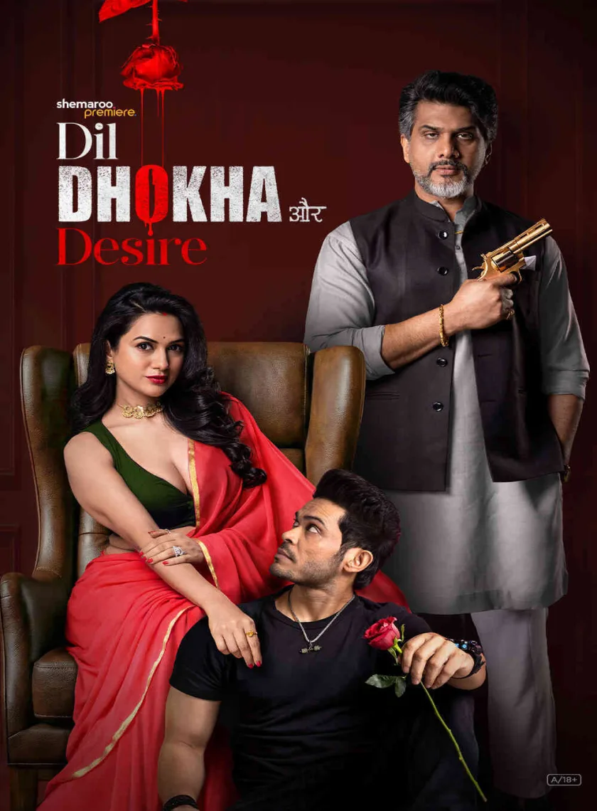 Dil Dhokha Aur Desire S01 (2026) Hindi Computed Web Series HEVC ESub poster