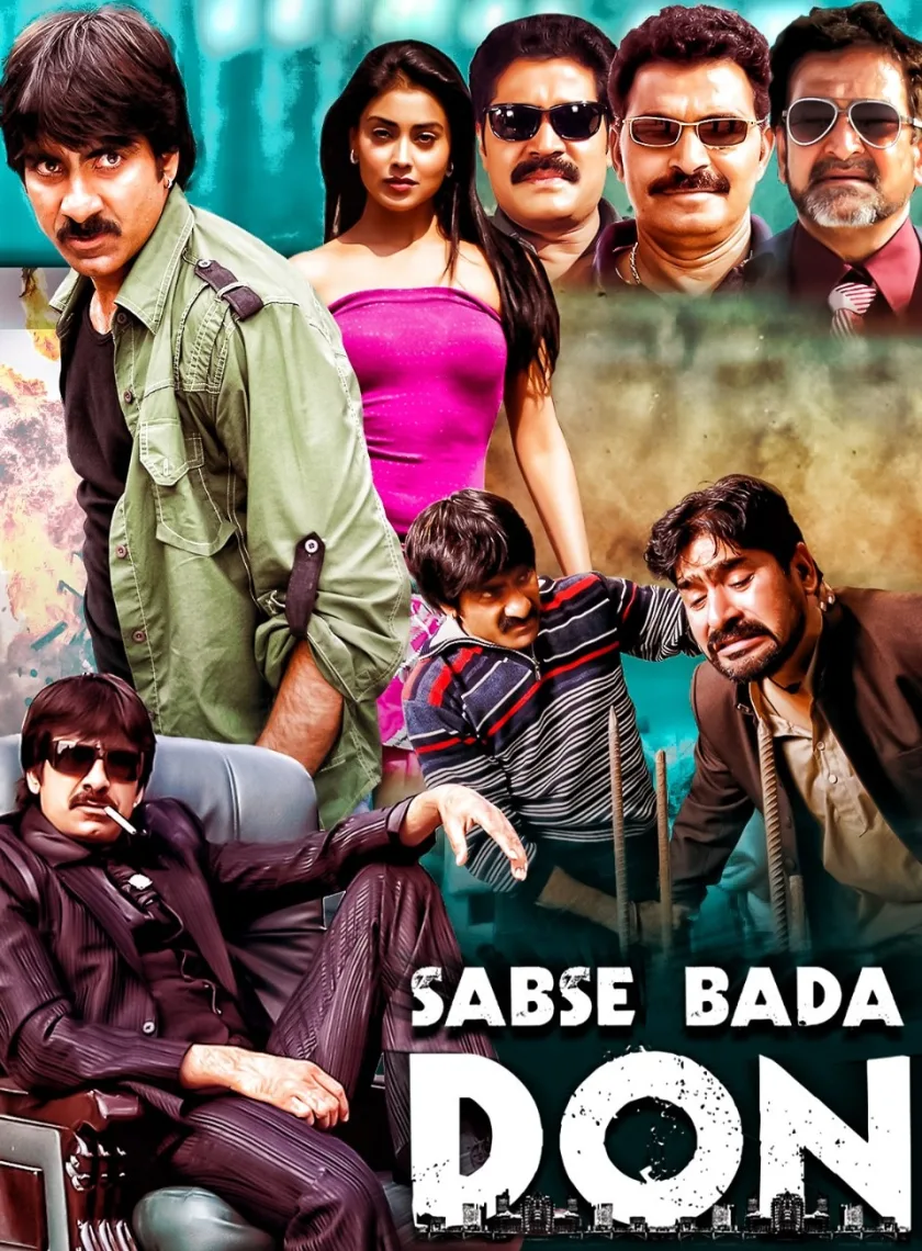 Don Seenu (Sabse Bada Don) (2010) {Hindi - Telugu} Dual Audio UnCut BluRay Movie HD ESub poster