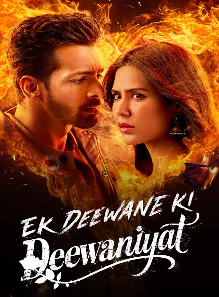 Ek Deewane Ki Deewaniyat (2025) Bollywood Hindi Movie HD ESub poster
