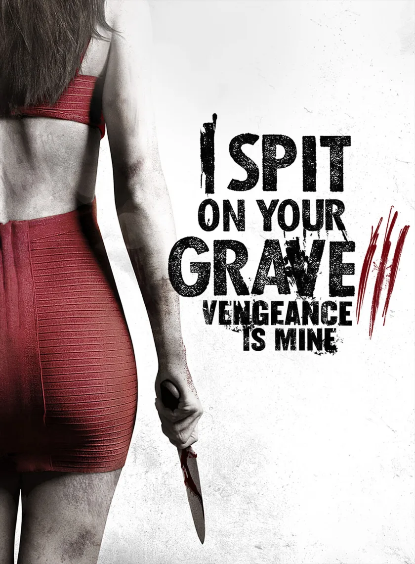 I Spit on Your Grave 3 (2015) (Hindi + English) Dual Audio Hollywood Movie BluRay HD ESub poster