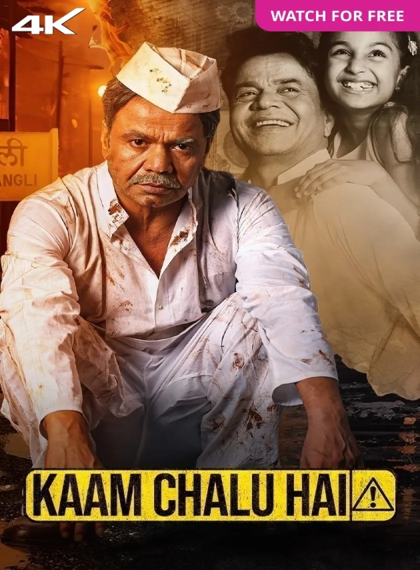 Kaam Chalu Hai (2024) Bollywood Hindi Full Movie HD ESub poster