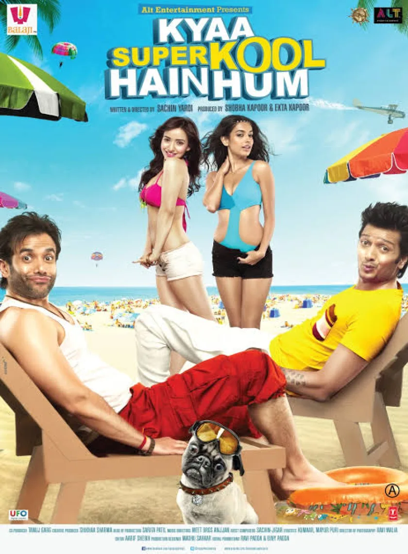 Kyaa Kool Hain Hum 3 (2016) Bollywood Hindi Full Movie HD ESub poster