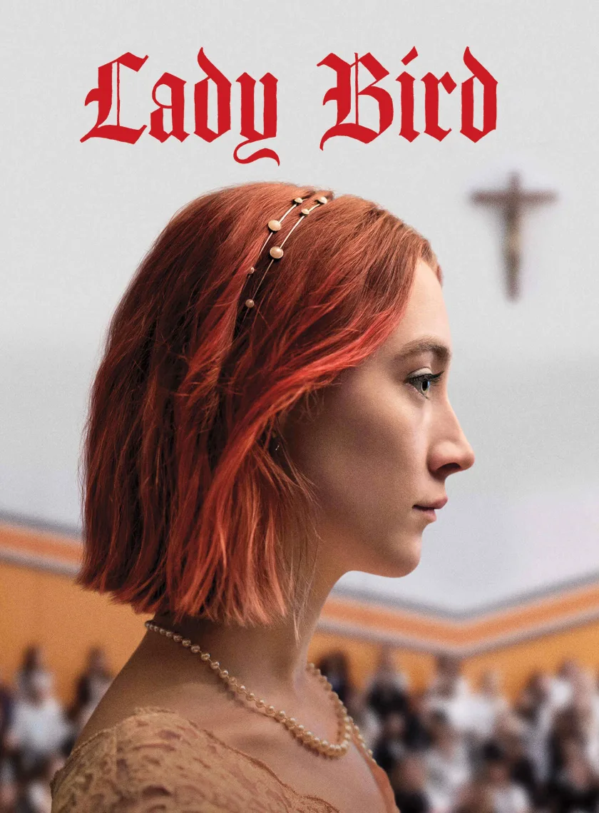 Lady Bird (2017) (Hindi + English) Dual Audio Hollywood Movie BluRay HD ESub poster