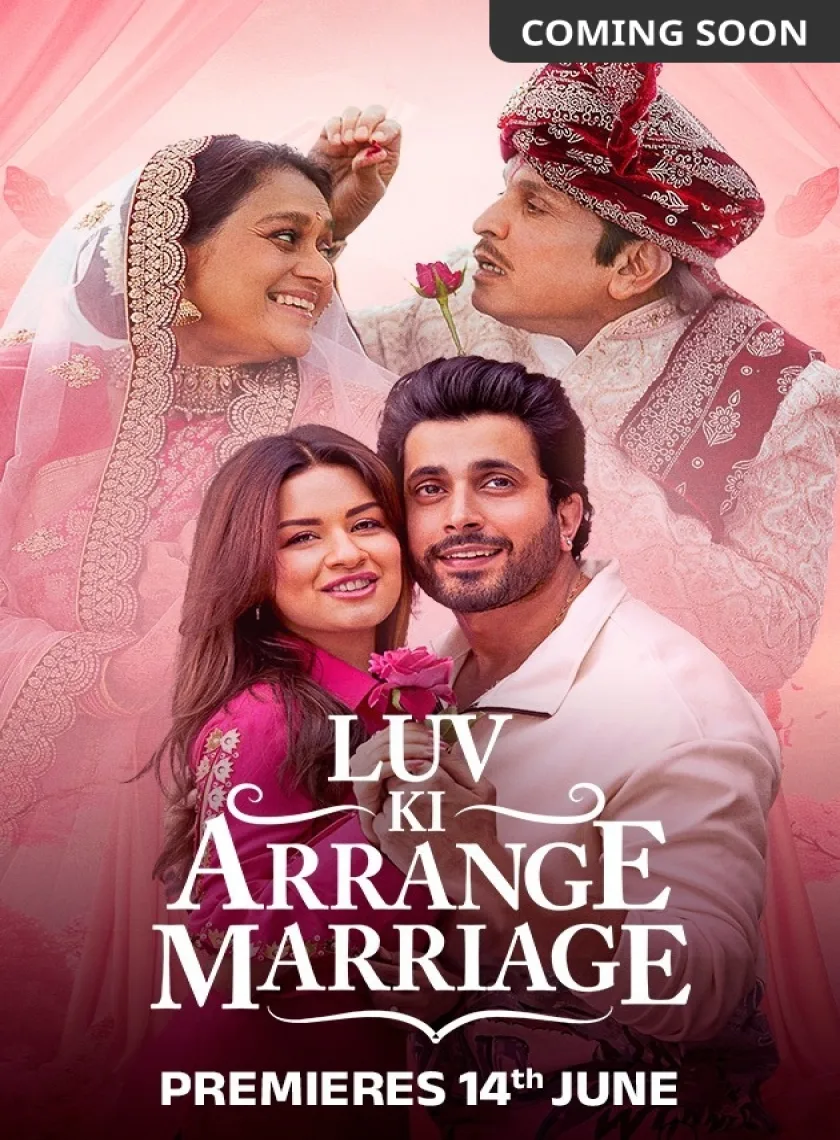Luv Ki Arrange Marriage (2024) Bollywood Hindi Movie HD ESub poster