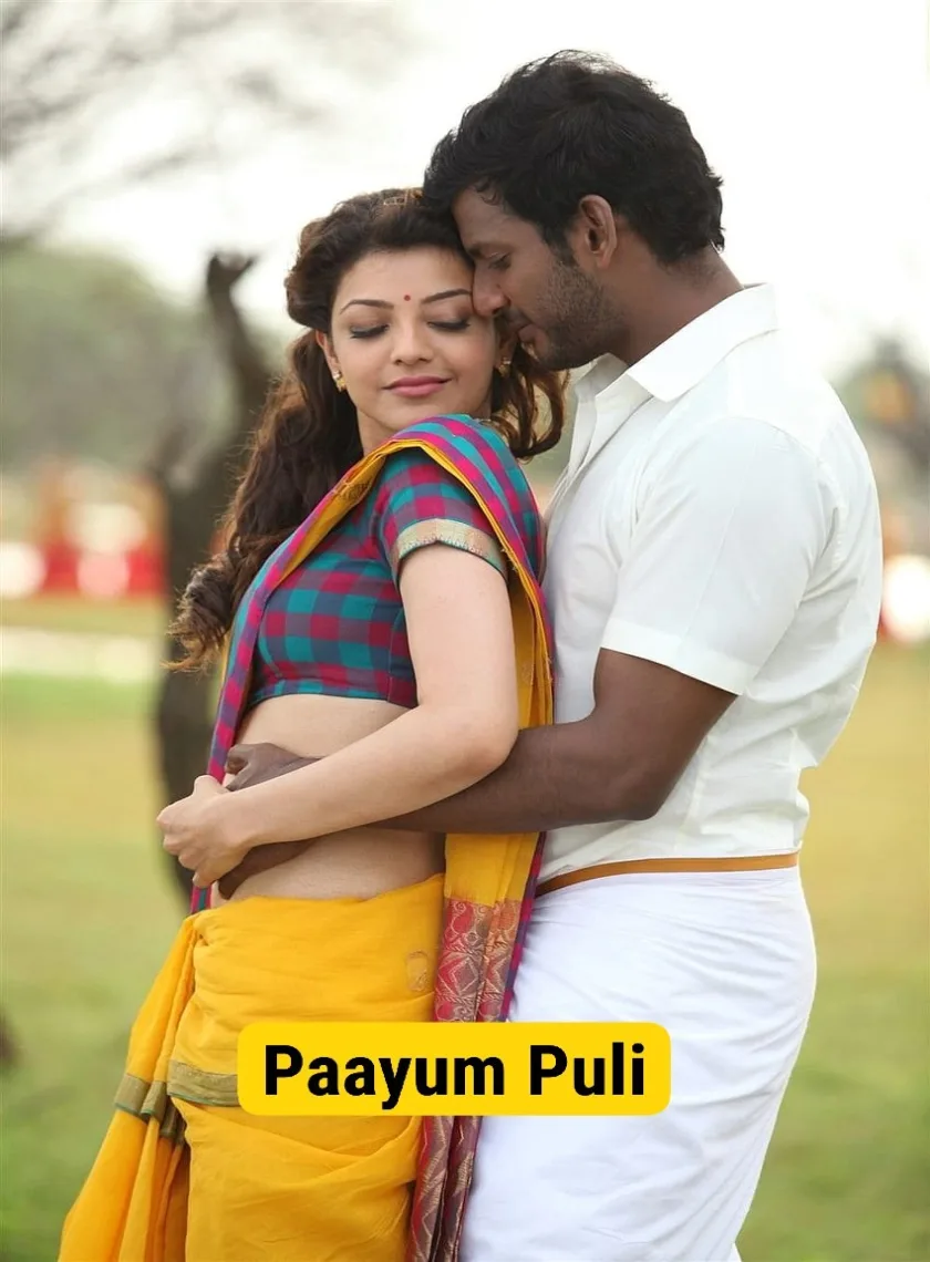 Main Hoon Rakshak (Paayum Puli) (2015) {Hindi + Tamil} Dual Audio UnCut Movie HD ESub poster