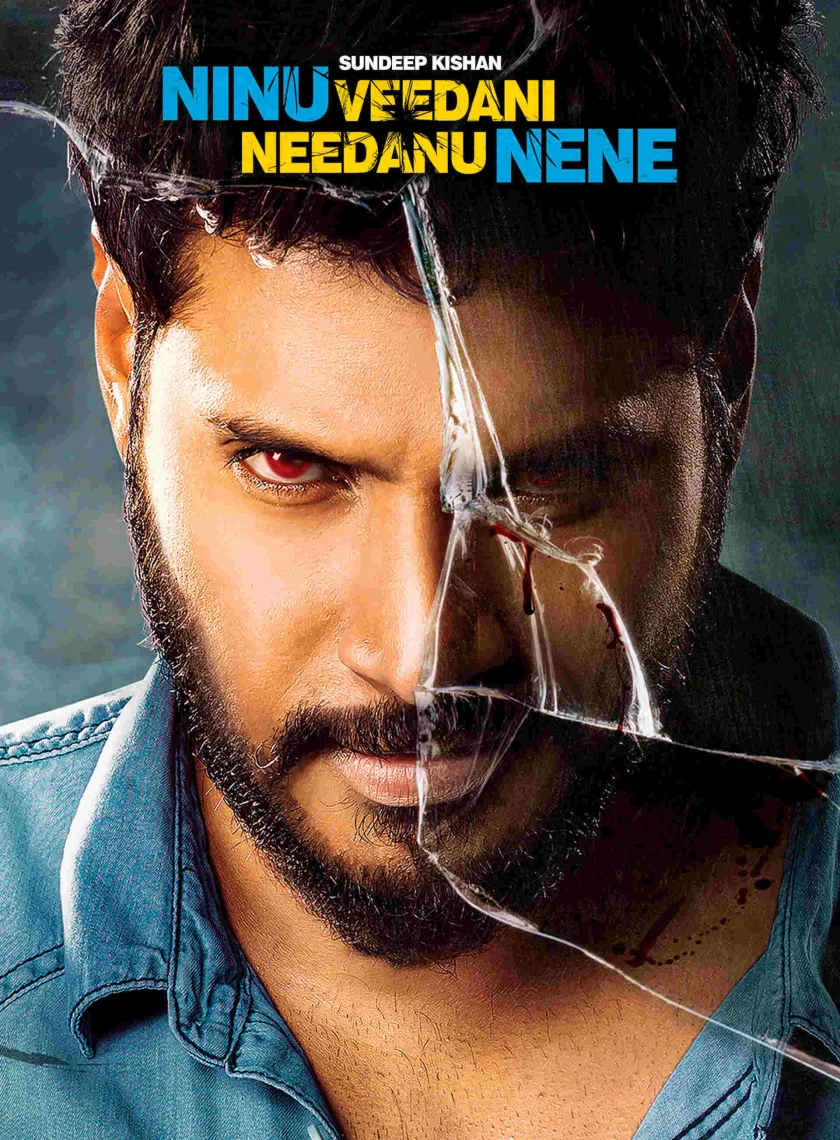 Main Hoon Sarfira Jigrawala (Ninu Veedani Needanu Nene) (2019) (Hindi + Telugu) Dual Audio UnCut South Movie HD ESub poster