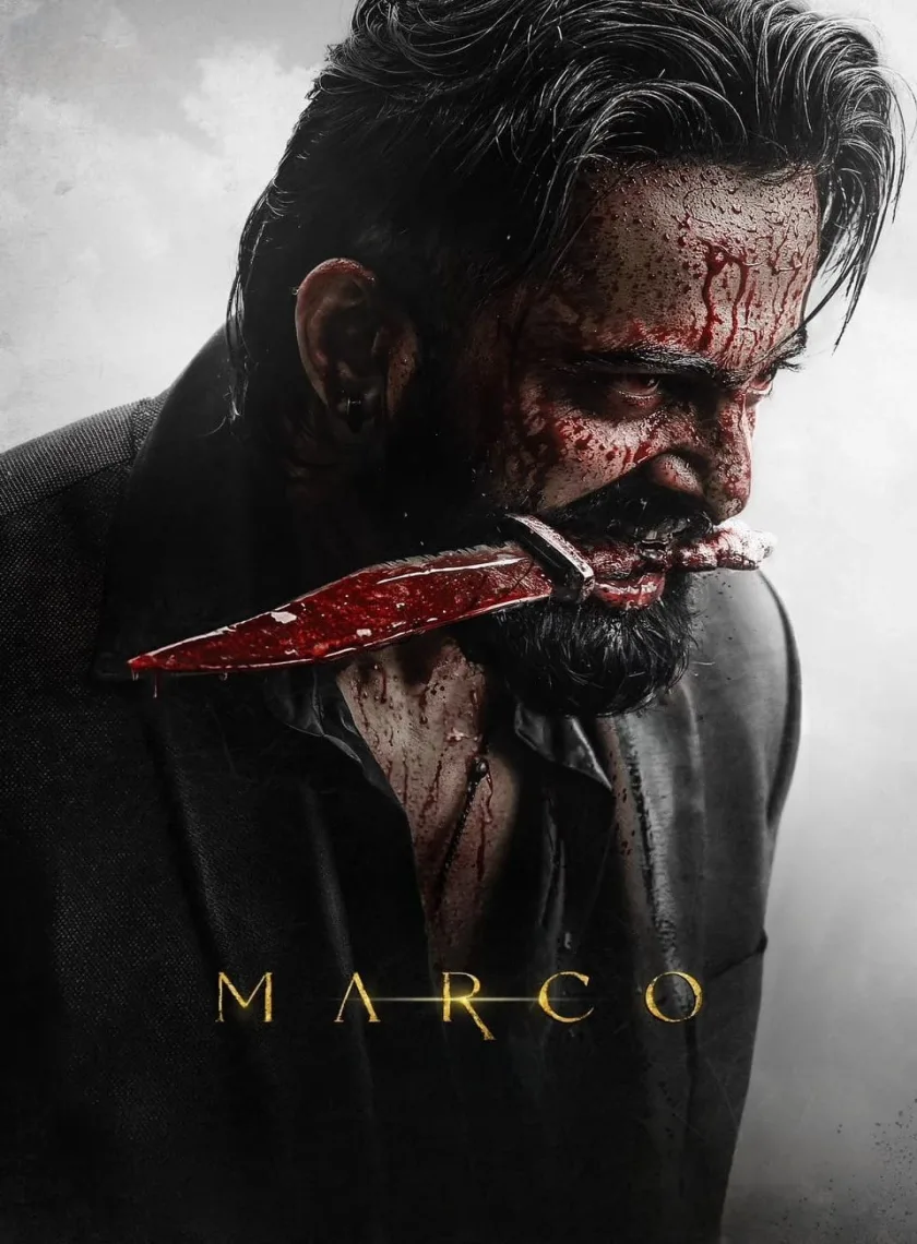 Marco (2024) (Hindi + Malayalam) Dual Audio UnCut South Movie HD ESub poster