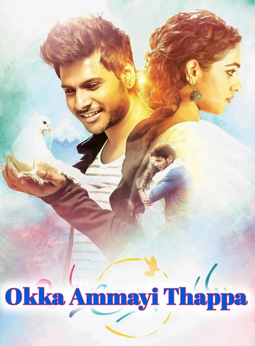 Okka Ammayi Thappa (Asli Fighter) (2016) (Hindi + Telugu) Dual Audio UnCut South Movie HD ESub poster