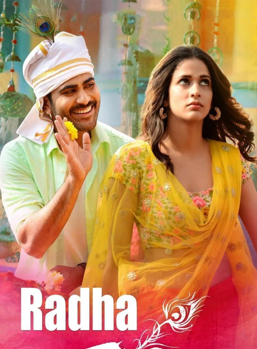 Radha (2017) (Hindi + Telugu) Dual Audio UnCut South Movie HD ESub poster