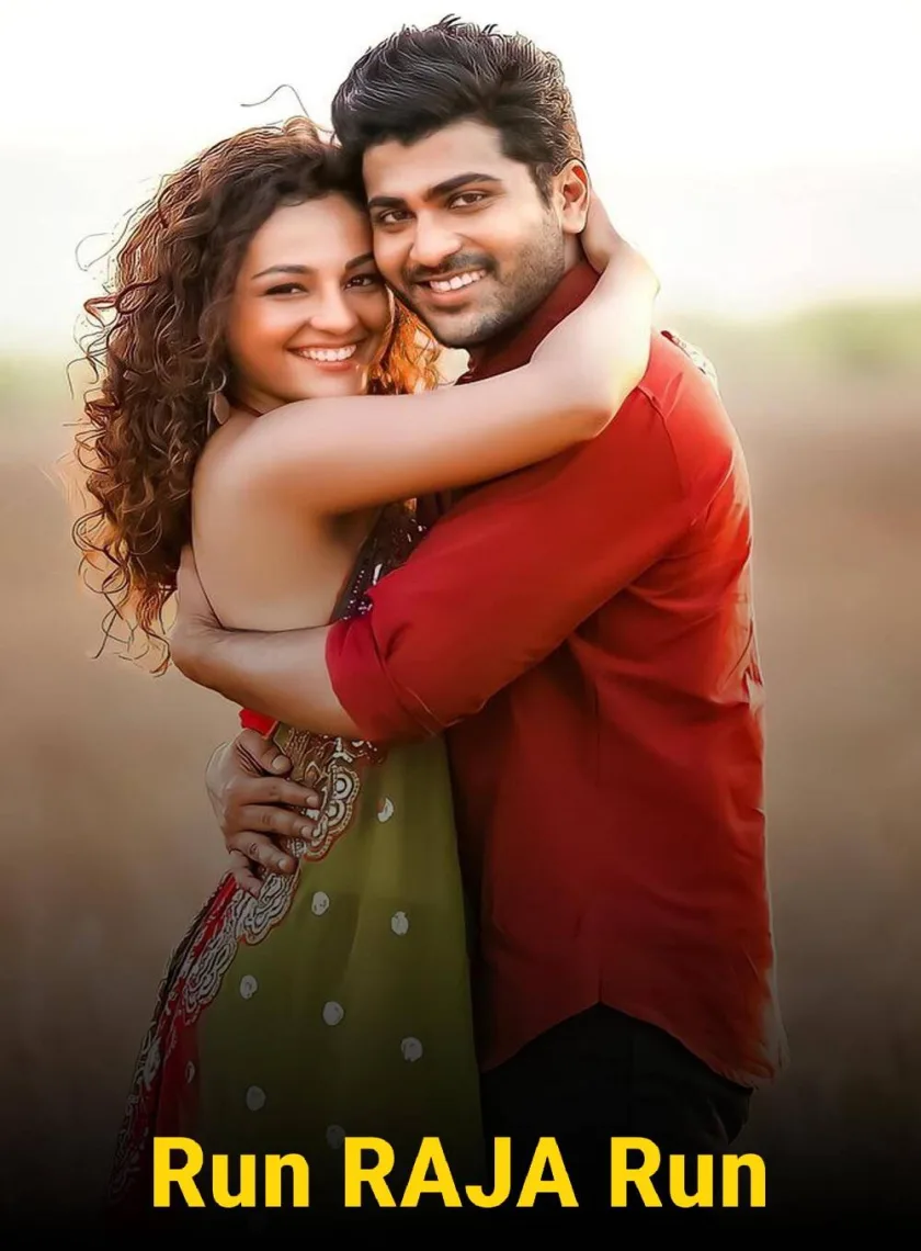 Run Raja Run (2014) (Hindi + Telugu) Dual Audio UnCut South Movie HD ESub poster