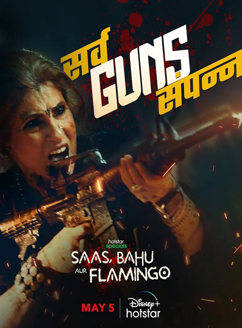 Saas Bahu Aur Flamingo S1 (2023) Hindi Completed Web Series HEVC ESub poster
