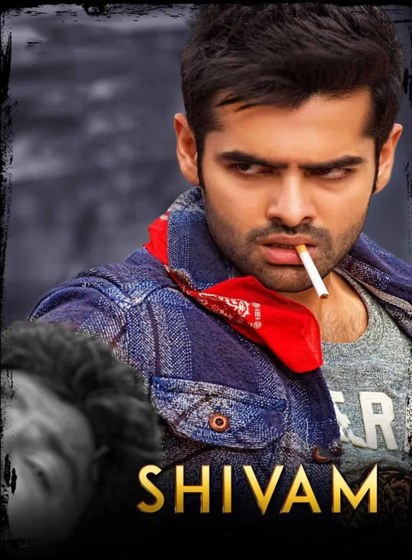 Shivam (2015) (Hindi + Telugu) Dual Audio UnCut Movie HD ESub poster
