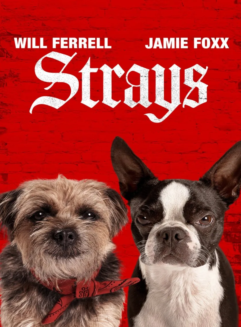 Strays (2023) (Hindi + English) Dual Audio Hollywood Movie BluRay HD ESub poster