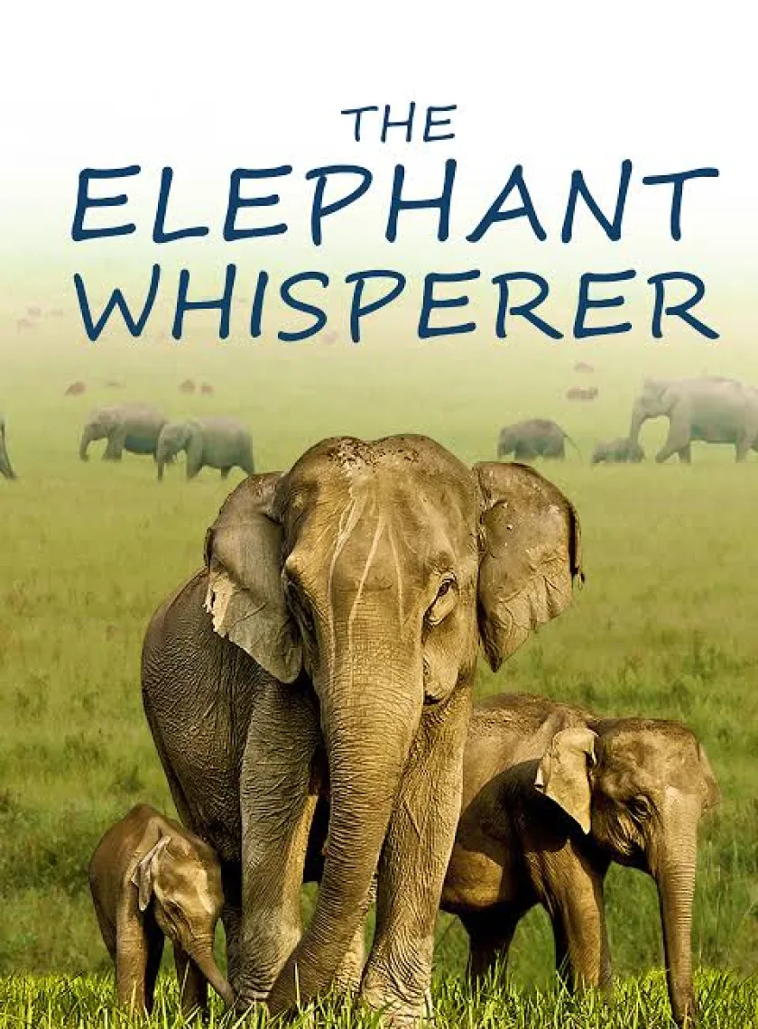 The Elephant Whisperers (2022) (Hindi + English) Dual audio Short Documentary Movie HD ESub poster