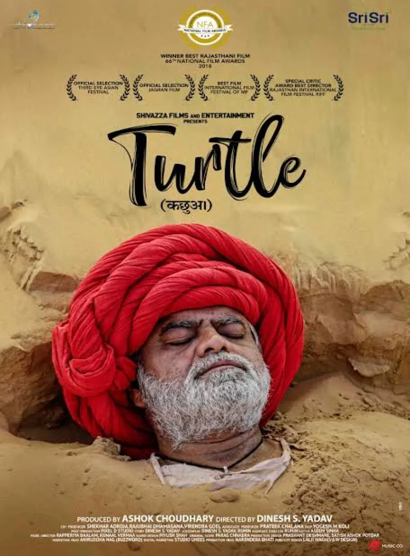 Turtle (2018) Bollywood Hindi Full Movie HD ESub poster