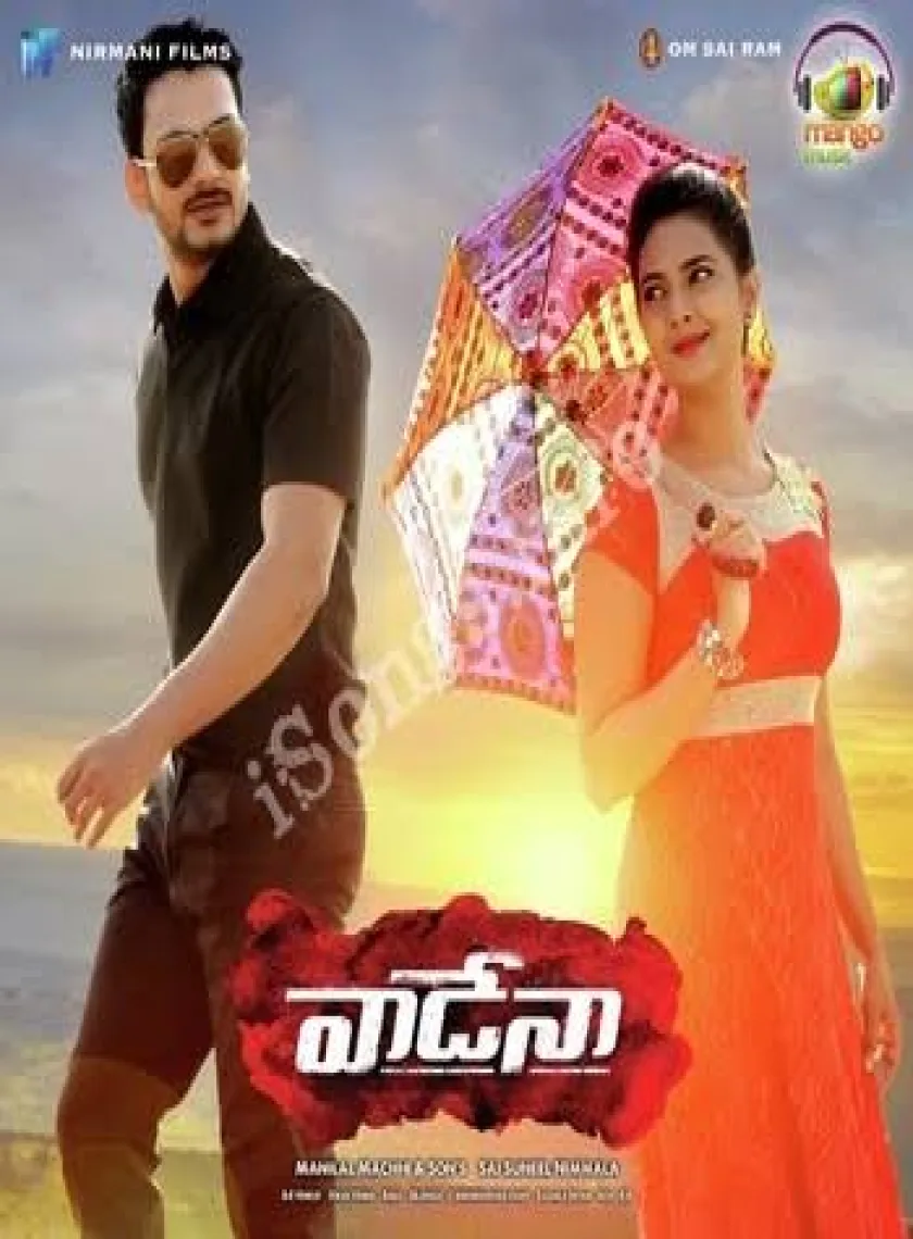Vadena (2021) New South Hindi Dubbed Full Movie HDTv poster
