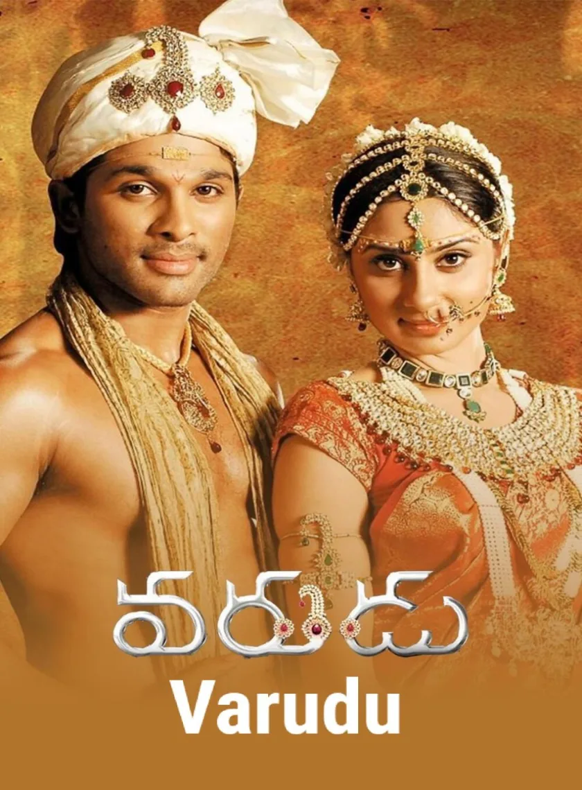 Varudu (Ek Aur Rakshak) (2010) (Hindi + Telugu) Dual Audio UnCut Movie HD poster