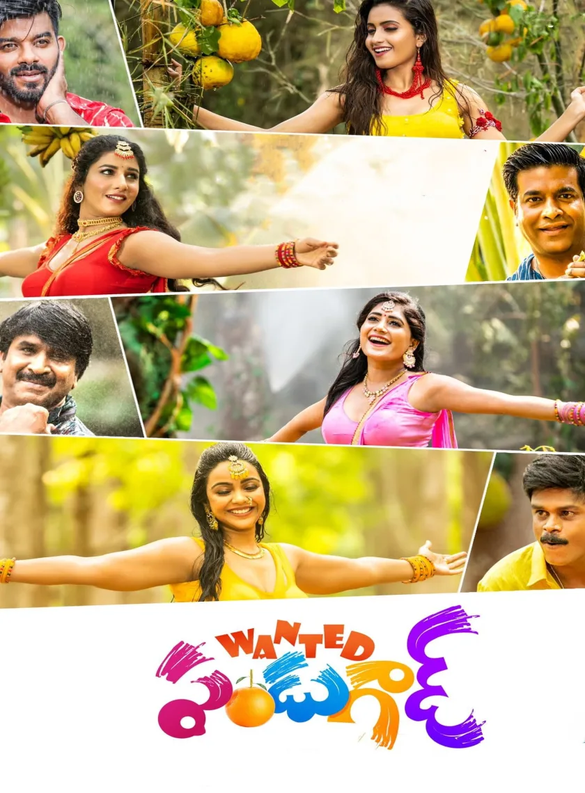 Wanted Pandugod (2022) (Hindi + Telugu) Dual Audio UnCut South Movie HD ESub poster